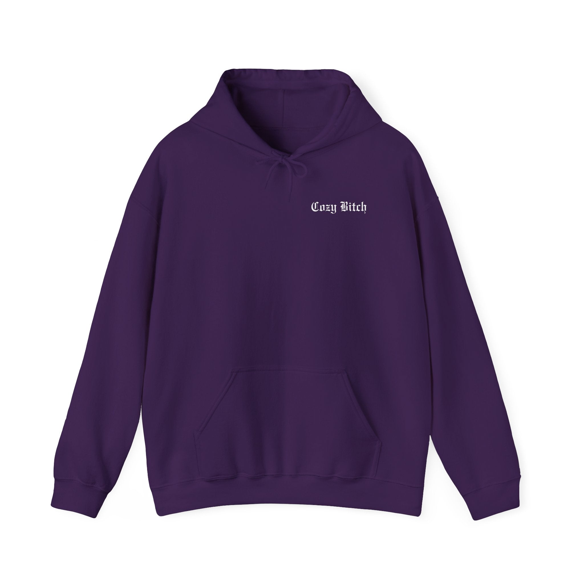 Cozy Bitch Stay Cozy Hoodie